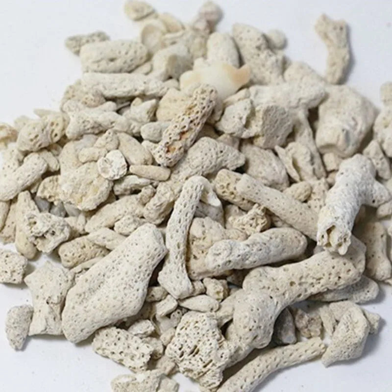 100g Aquarium Filter Media Natural Coral Bone Biological Filter for Fish Tank Aquarium Accessories