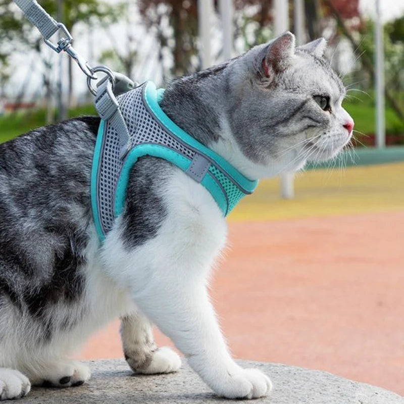 Conjunto de coleira para gato, coleira ajustável para cachorro e gato, colete para buldogue francês, filhote de cachorro, chihuahua, coleira para caminhada ao ar livre