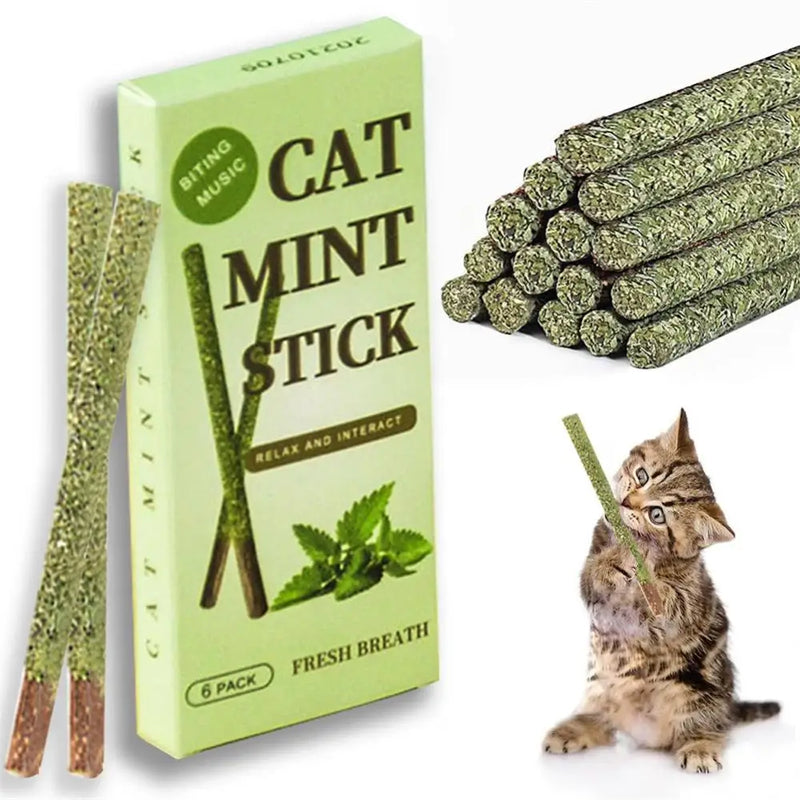 6 Sticks/caixa Brinquedos de mastigação para gatos Natural Silvervine Catnip Brinquedos Sticks Gatinhos Limpeza dos dentes Stick seguro para gatos de todas as idades