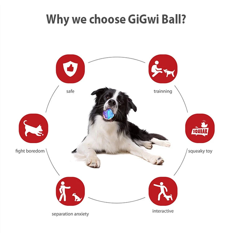 Gigwi Pet Toys G-Ball Series Bolas interativas para cães Brinquedos para cães Bolas que rangem 2,5” Saltitantes e cores sortidas para cães pequenos/médios