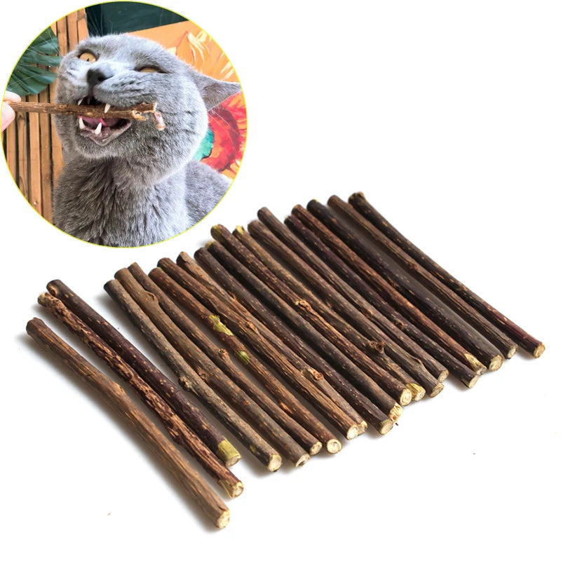 Cat nip natural Pet Cat Molar Toothpaste Stick Actinidia Fruit Silvervine Cat Snacks Sticks Pet Cleaning Dentes produtos para animais de estimação