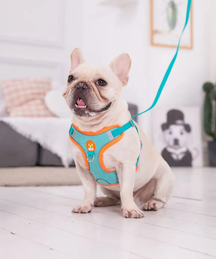 Adjustable No Pull Pet Reflective Dog Harness Lead Walking Running Leashes Cat Chest Strap Vest Leash