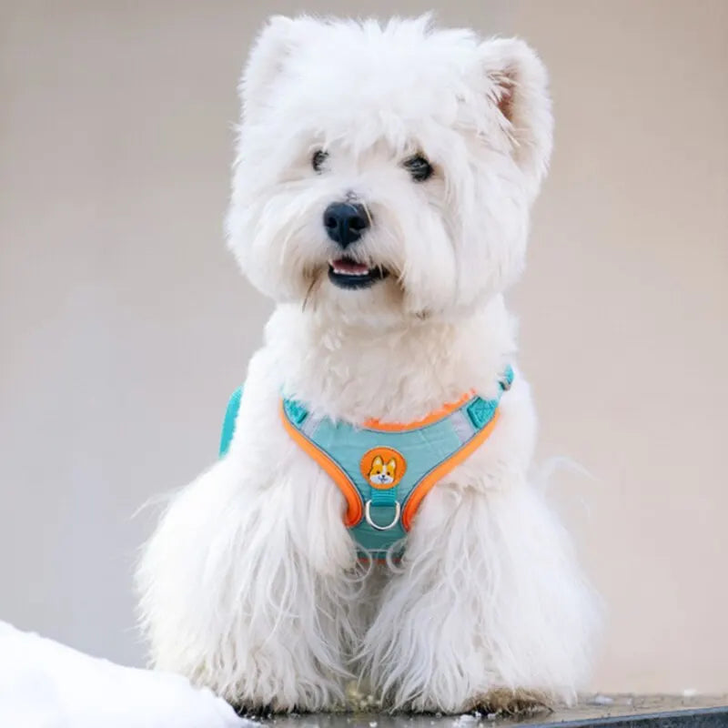 Adjustable No Pull Pet Reflective Dog Harness Lead Walking Running Leashes Cat Chest Strap Vest Leash