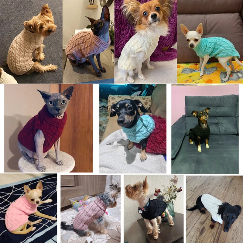 Suéteres para cachorros pequenos e médios, roupas para gatos, inverno, quente, gola alta, colete para chihuahua, casaco macio yorkie, jaqueta de pelúcia