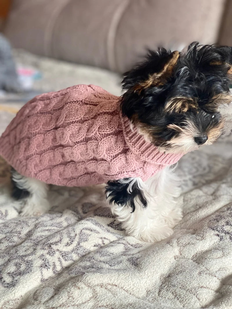 Suéteres para cachorros pequenos e médios, roupas para gatos, inverno, quente, gola alta, colete para chihuahua, casaco macio yorkie, jaqueta de pelúcia