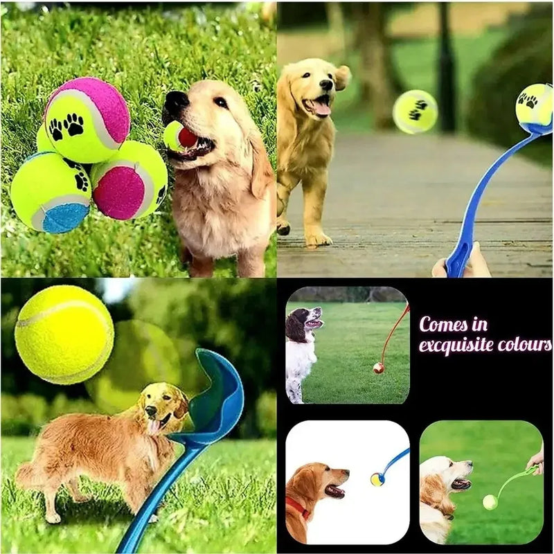 Pet jogando vara cão mão jogando bola brinquedos pet tênis lançador pólo atividades ao ar livre cães treinamento brinquedos suprimentos para animais de estimação