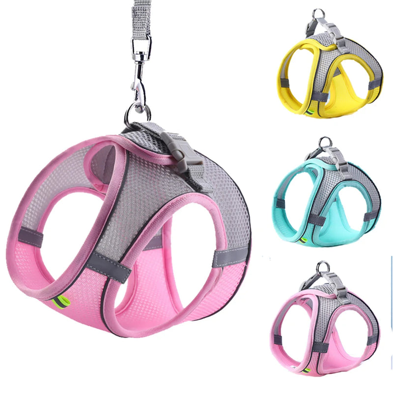 Conjunto de coleira para gato, coleira ajustável para cachorro e gato, colete para buldogue francês, filhote de cachorro, chihuahua, coleira para caminhada ao ar livre