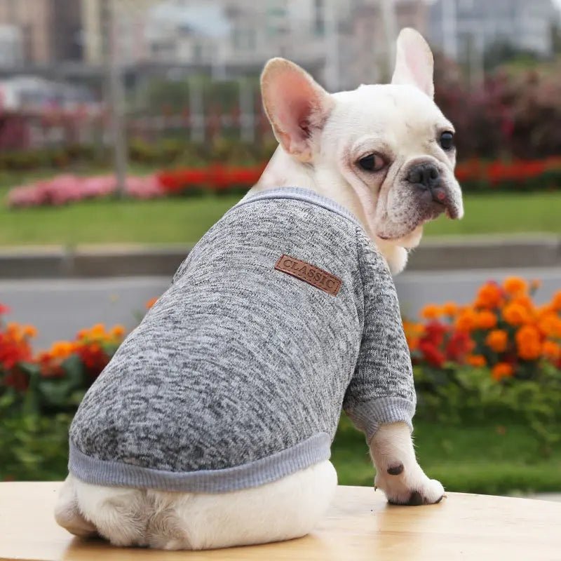 Mantenha você aquecido gatinhos roupas para filhotes para cães pequenos buldogue francês moletom cães de estimação gatos jaqueta casaco clássico chihuahua roupas