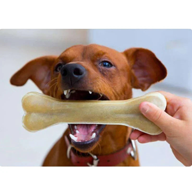 Robust Dog Chew Toys Cowhide Bones Dental Sticks Canine Treats Supplies Cleaning Teeth Nutritious Snacks for Petite Medium Large