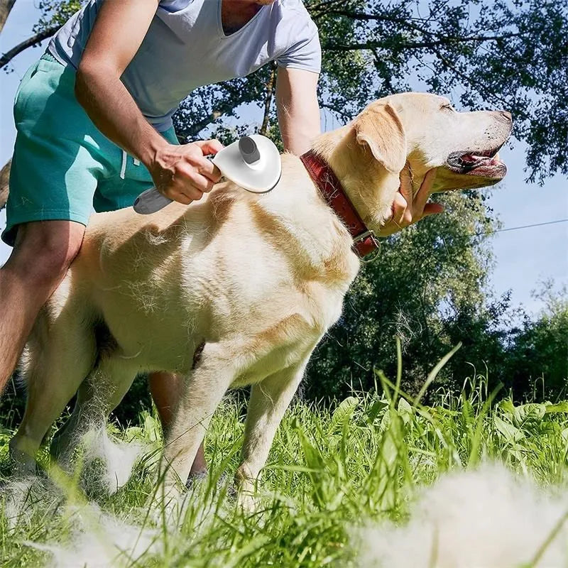 Escova para cães e gatos, pente autolimpante, removedor de pelos de animais de estimação, ferramentas de higiene para cães e gatos, pente para desembaraçar animais de estimação, acessórios para cães