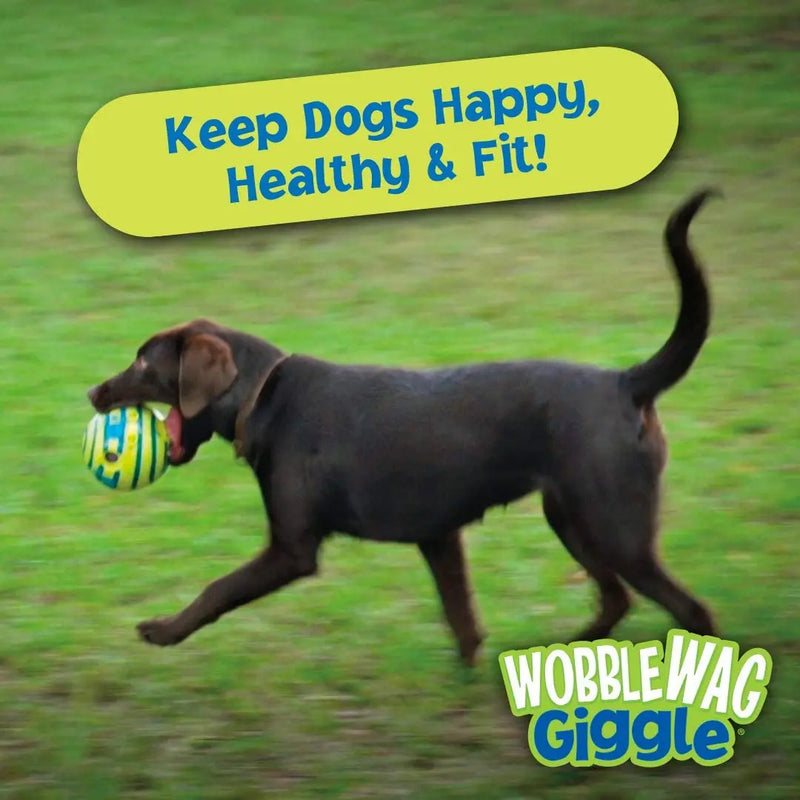 Wobble Wag Giggle Glow Ball Interactive Dog Toy Fun Giggle Sounds When Rolled or Shaken Pets Know Best As Seen On TV