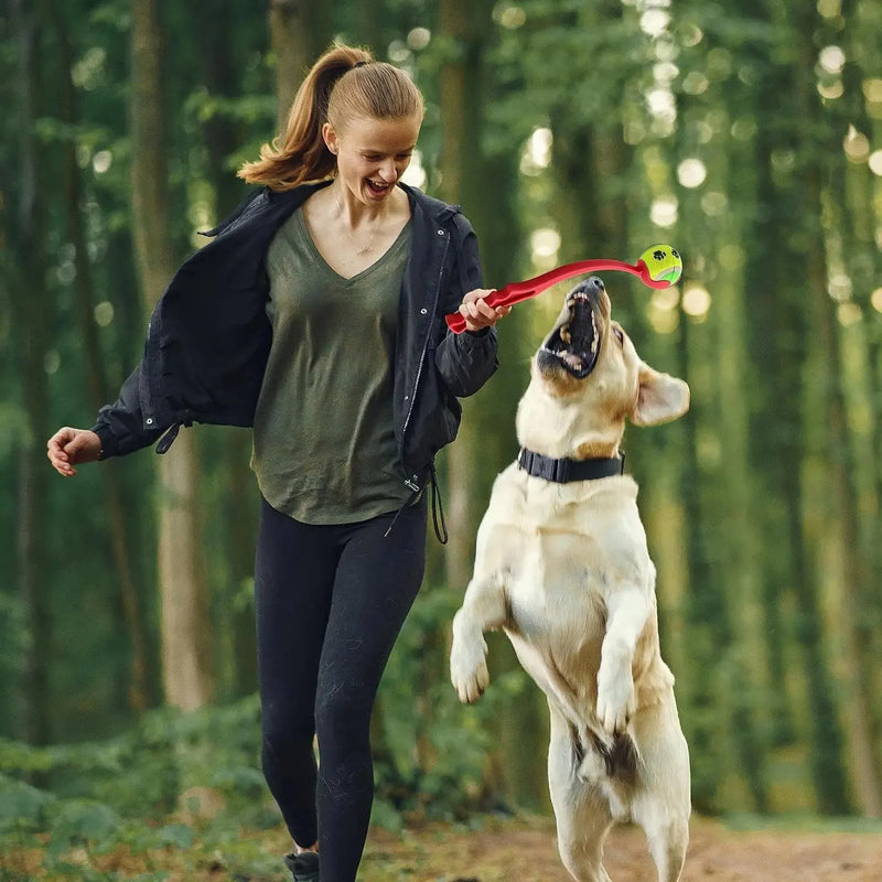 Pet jogando vara cão mão jogando bola brinquedos pet tênis lançador pólo atividades ao ar livre cães treinamento brinquedos suprimentos para animais de estimação