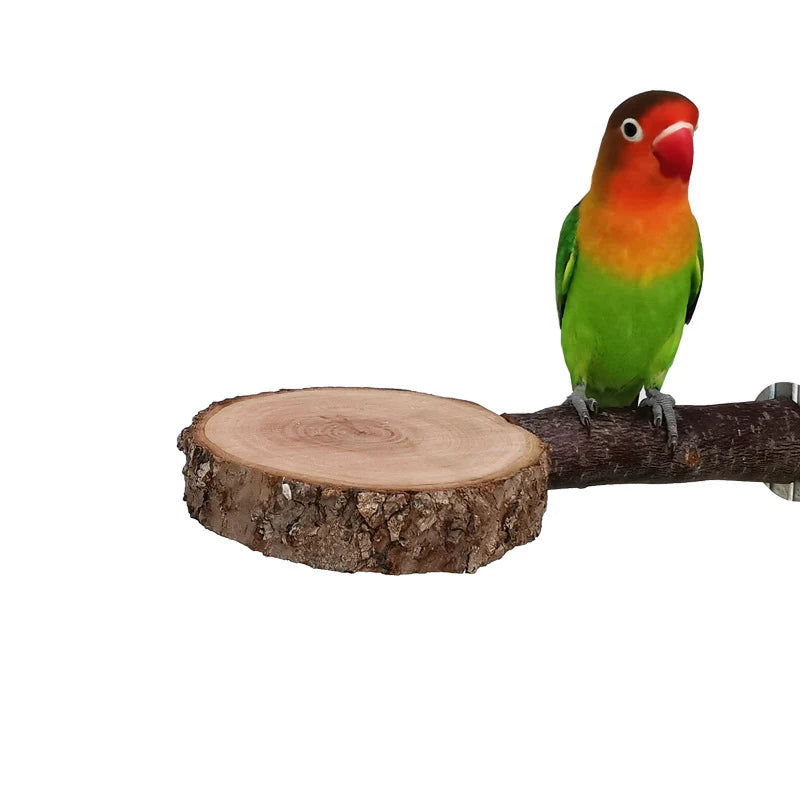 Natural Apple Tree Wood Pet Parrot Raw Wood Fork Tree Branch Stand Rack Squirrel Bird Hamster Branch Perches Chew Bite Toys