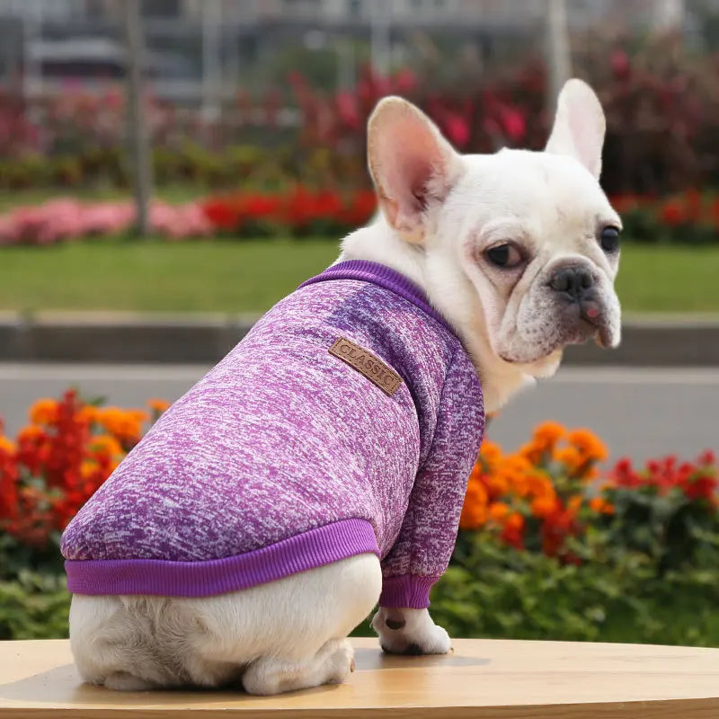 Mantenha você aquecido gatinhos roupas para filhotes para cães pequenos buldogue francês moletom cães de estimação gatos jaqueta casaco clássico chihuahua roupas