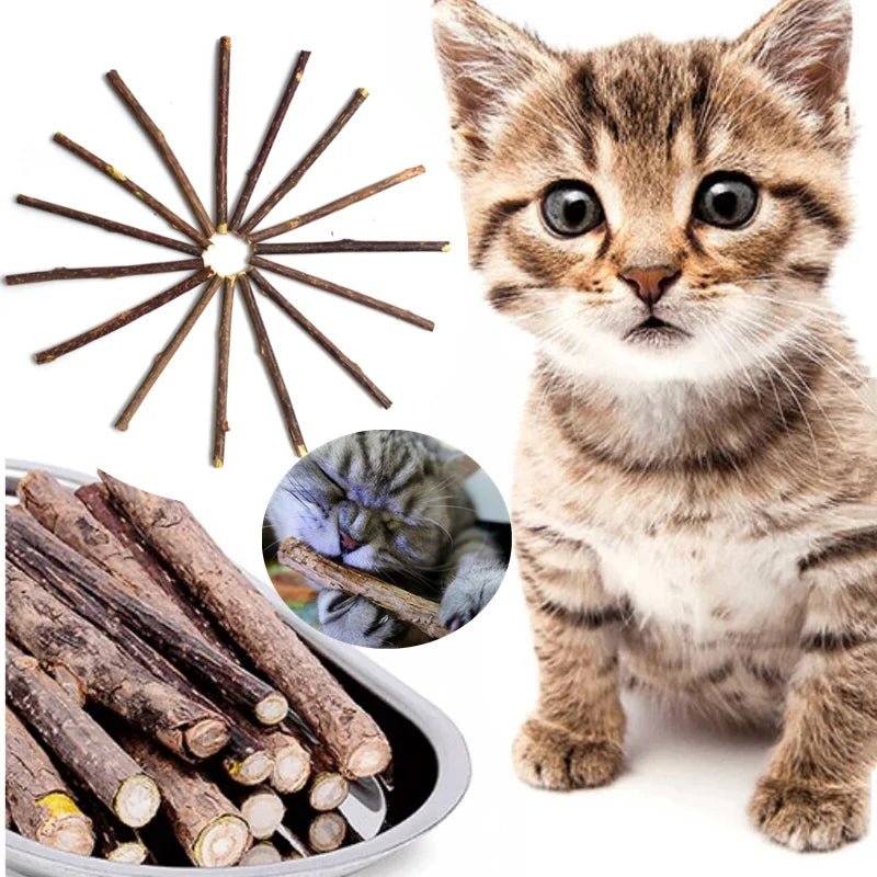 Cat nip natural Pet Cat Molar Toothpaste Stick Actinidia Fruit Silvervine Cat Snacks Sticks Pet Cleaning Dentes produtos para animais de estimação