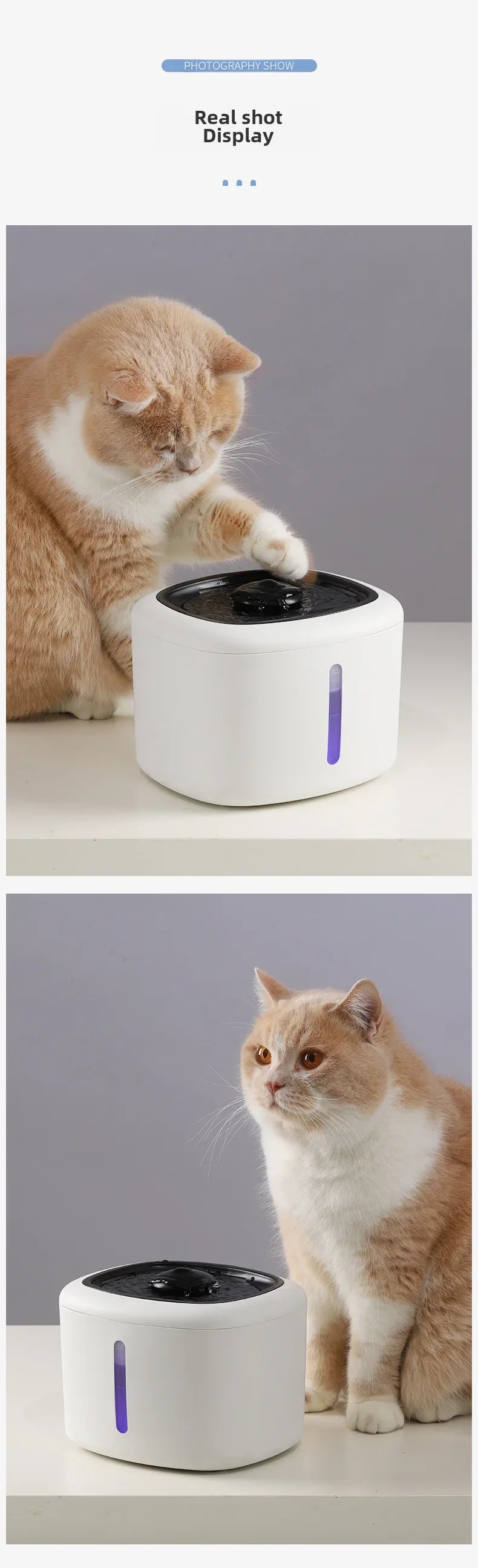 2.5L Large Capacity Smart Pet Water Dispenser Circulation Anti-scalding Dry Cat Drinking Machine Cross-border Best-seller