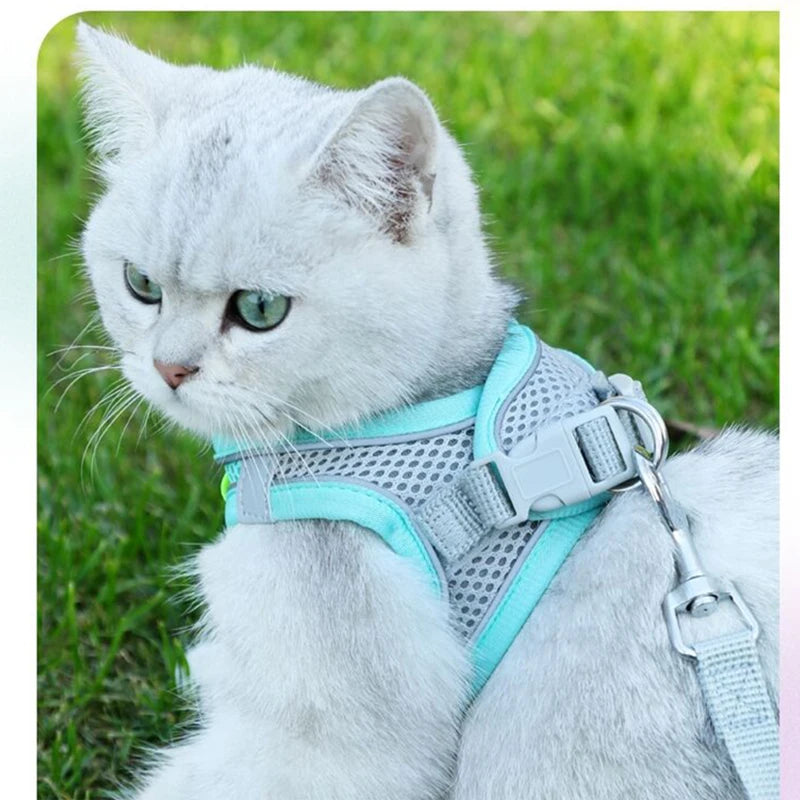 Conjunto de coleira para gato, coleira ajustável para cachorro e gato, colete para buldogue francês, filhote de cachorro, chihuahua, coleira para caminhada ao ar livre