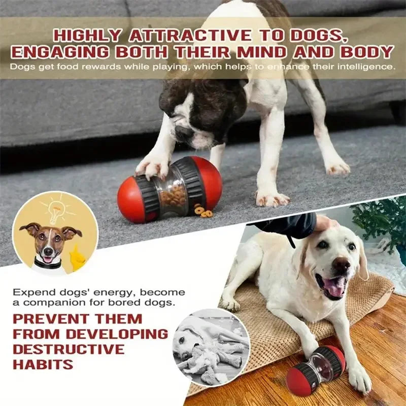 Dog Toy Tumbler Leaky Food Ball Elliptical Track Rolling Ball Slowly Feeding Protects Stomach Increase Intelligence Pet Supplies