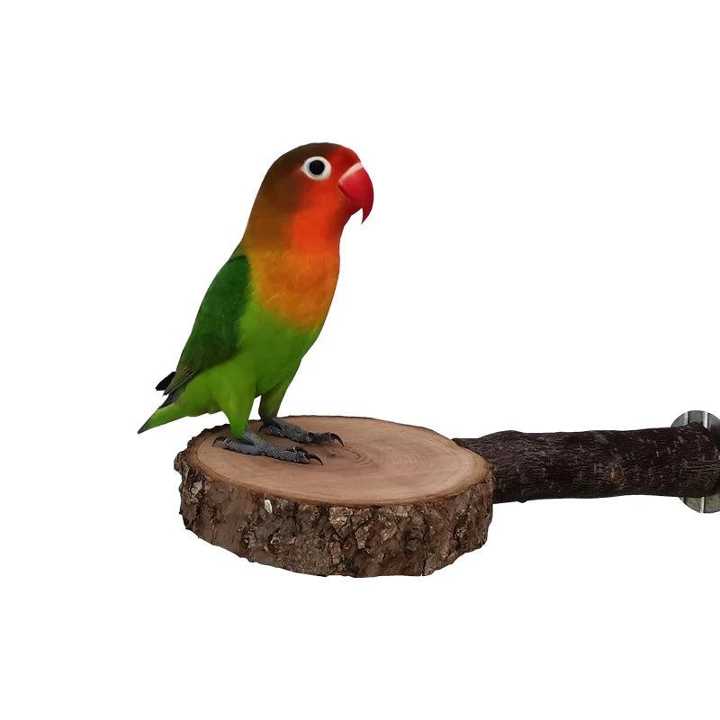 Natural Apple Tree Wood Pet Parrot Raw Wood Fork Tree Branch Stand Rack Squirrel Bird Hamster Branch Perches Chew Bite Toys